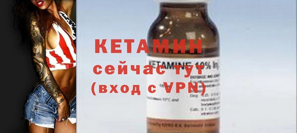 гидра Елизово