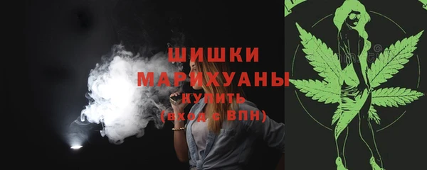 дурь Бронницы