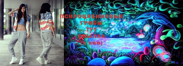 COCAINE Богородицк