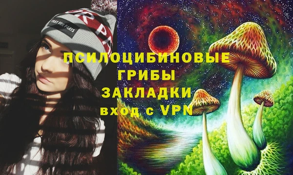 дурь Бронницы